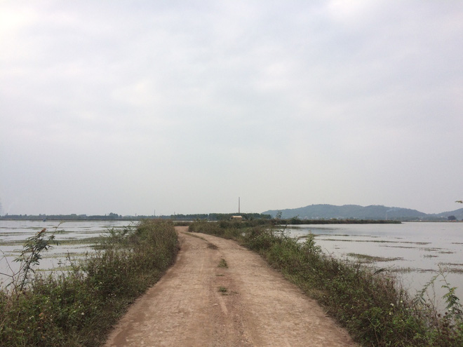 Vụ giết người buôn cá: Nghi phạm vẫn cùng nạn nhân ăn sung, đánh bóng chiều hôm trước - ảnh 2 Hình ảnh Vụ giết người buôn cá: Nghi phạm vẫn cùng nạn nhân ăn sung, đánh bóng chiều hôm trước số 2