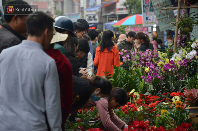 Hàng vạn người đổ về chợ Viềng khiến đường tắc hàng km, ai cũng lựa mua chậu hoa, cây cảnh lấy may đầu năm - ảnh 2 Hàng vạn người đổ về chợ Viềng khiến đường tắc hàng km, ai cũng lựa mua chậu hoa, cây cảnh lấy may đầu năm - Ảnh 2.