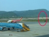 Bí ẩn xung quanh việc 'cây ma' bị cô gái trẻ nhập hồn ở sân bay Phú Quốc