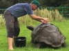 Video: Cận cảnh 'cụ rùa' 184 tuổi