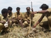 Video: Rùng mình cảnh bắt rắn độc bằng tay không ở Ấn Độ
