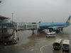 Nhiều chuyến bay bị hoãn, huỷ do ảnh hưởng của bão số 4
