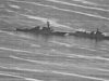 Việt Nam lên tiếng về vụ tàu chiến TQ áp sát tàu tuần tra Mỹ ở Biển Đông