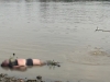 Cần thủ vứt cần câu bỏ chạy khi thấy thi thể nam giới nổi trên sông Sài Gòn