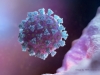 Tiết lộ điều khó tin về virus corona: Xuất hiện từ 3 năm trước