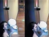 Lộ thêm hình ảnh nữ tiếp viên hàng không ôm hôn một người đàn ông trước cửa phòng khách sạn