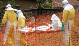 Cư dân mạng Trung Quốc và lời đồn Ebola tạo ra Zombie
