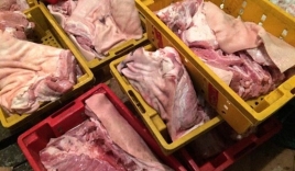 Bình Định: Bắt quả tang xe tải chở 400kg thịt heo hôi thối