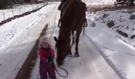 Bé gái dắt ngựa đi dạo cực đáng yêu