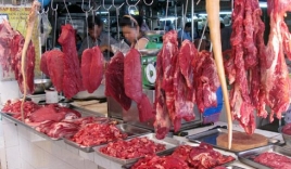 Hà Nội: Phát hiện nhiều mẫu thực phẩm thịt bò có nguồn gốc thịt lợn