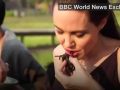 Nữ diễn viên Angelina Jolie cùng các con ăn bọ cạp, nhện ở Campuchia