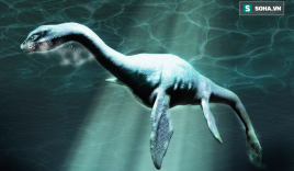Phát hiện sinh vật biển khổng lồ ở Nam Cực, rất giống quái vật hồ Loch Ness