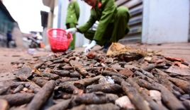 Thu gom được gần 7 tấn đầu đạn và các mảnh kim loại sau vụ nổ kinh hoàng tại Bắc Ninh