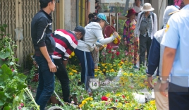 Câu chuyện đáng yêu về hai vợ chồng “dịu dàng giữa thịnh nộ”: Mang hoa ế 30 Tết trang trí cho vòng xoay ở Sài Gòn