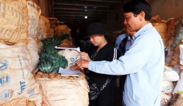 Chuyển hàng trăm tấn khoai tây Trung Quốc đội lốt 'hàng Đà Lạt' ra khỏi chợ nông sản