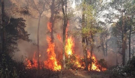 Danh tính người nghi gây ra vụ cháy rừng lớn nhất Hà Tĩnh