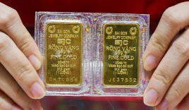 Giá vàng, dự báo giá vàng ngày 29/1 - 31/1: Vàng 'mất giá', nhà đầu tư đổ dồn vào USD