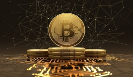 Triệu phú Bitcoin 'ngồi trên đống vàng' nhưng không thể giàu chỉ vì 'não cá vàng'