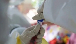 Các nhà khoa học Mỹ tuyên bố chế tạo được vắc-xin phòng chống Covid-19