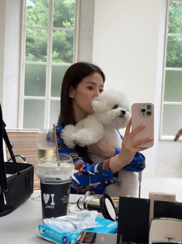 Song Hye Kyo 42 tuổi độc thân, chọn hạnh phúc bên thú cưng Song Hye Kyo 42 tuổi độc thân, chọn hạnh phúc bên thú cưng