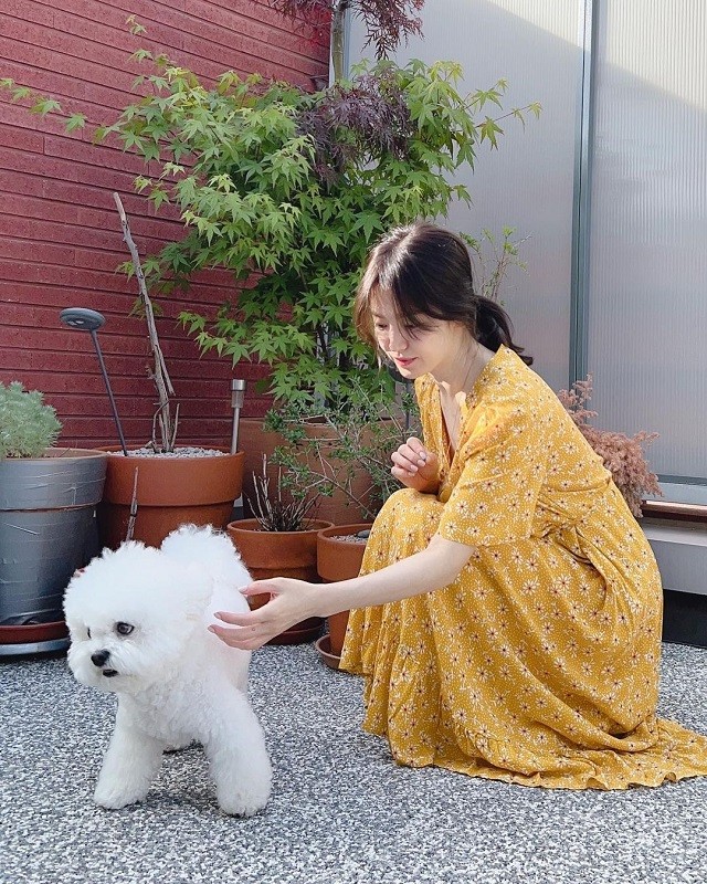 Song Hye Kyo 42 tuổi độc thân, chọn hạnh phúc bên thú cưng - Ảnh 1 Song Hye Kyo 42 tuổi độc thân, chọn hạnh phúc bên thú cưng - Ảnh 1