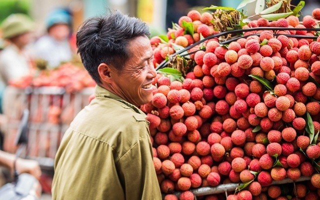 Chọn vải không sâu đầu cực dễ, bảo quản ăn quanh năm nhờ những mẹo này - Ảnh 2 Chọn vải không sâu đầu cực dễ, bảo quản ăn quanh năm nhờ những mẹo này - Ảnh 2