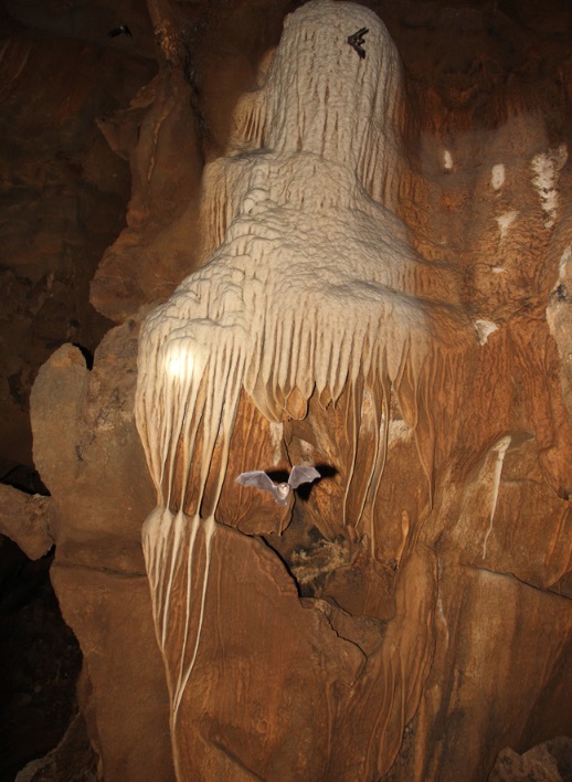 Phát hiện hang động lớn, có nhiều khối thạch nhũ tuổi đời hàng trăm năm tại Quảng Trị 3