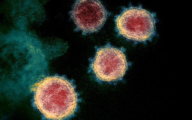 Phát hiện một dạng đột biến dễ lây lan của virus SARS-CoV-2 gây Covid-19 1