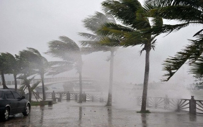 Tin bão số 8 mới nhất : Bão Saudel dự kiến đổ bộ Hà Tĩnh - Quảng Trị 2