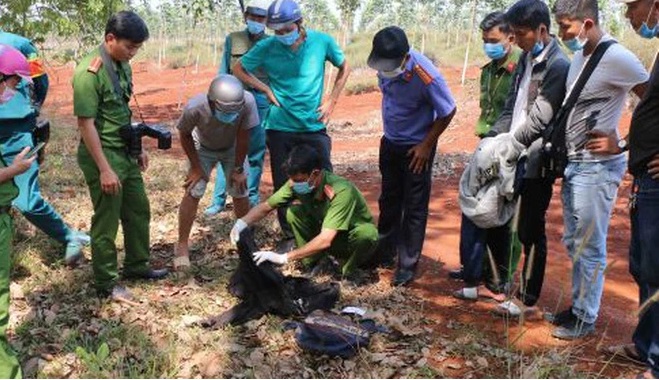 Tin tức pháp luật 24h: CA điều tra nghi án bé gái 12 tuổi bị mẹ bạo hành, Hiệu trưởng chiếm đoạt tiền bảo hiểm 4 Tin tức pháp luật 24h: CA điều tra nghi án bé gái 12 tuổi bị mẹ bạo hành, Hiệu trưởng chiếm đoạt tiền bảo hiểm 4