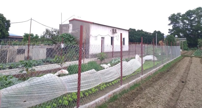 Tin tức pháp luật 24h: Tin mới vụ chồng sát hại vợ ngày 8/3, Thơ Nguyễn bị mời lên làm việc 1 Tin tức pháp luật 24h: Tin mới vụ chồng sát hại vợ ngày 8/3, Thơ Nguyễn bị mời lên làm việc 1