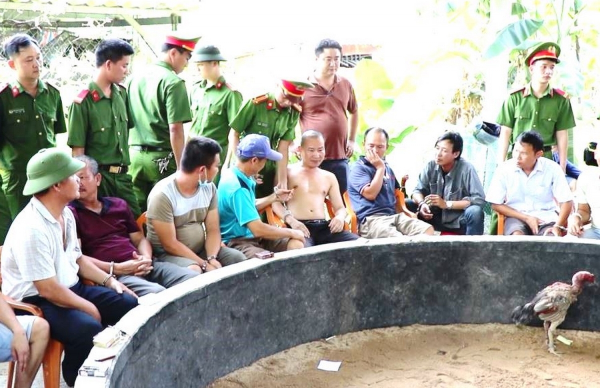 Tin tức pháp luật 24h: Tiền Giang lần đầu khởi tố 'quái xế' đua xe trái phép, Hơn 100 công an đột kích sới gà 2 Tin tức pháp luật 24h: Tiền Giang lần đầu khởi tố 'quái xế' đua xe trái phép, Hơn 100 công an đột kích sới gà 2