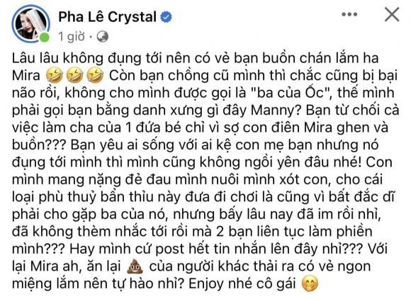 Pha Lê đăng đàn tố chồng cũ bỏ bê con gái chung vì người tình. Ảnh: FBNV