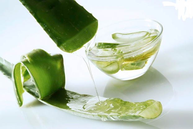 8 lợi ích sức khỏe bất ngờ của việc ăn nha đam 2 8 lợi ích sức khỏe bất ngờ của việc ăn nha đam 2