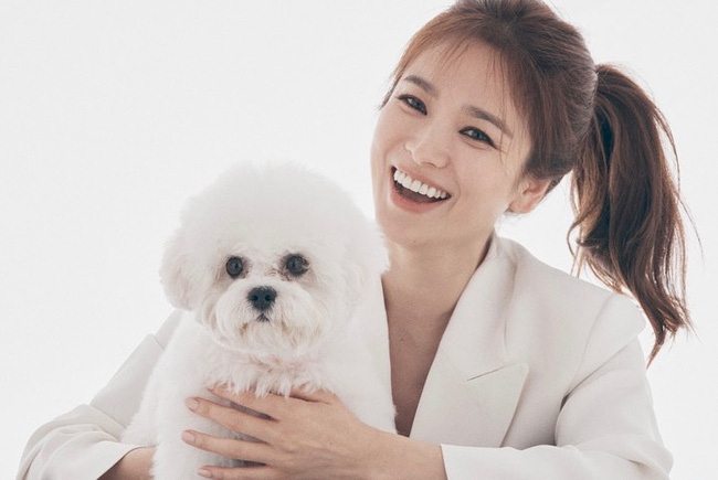 Từng hết lời yêu thương, gia đình Song Joong Ki 'lật mặt', tỏ thái độ với Song Hye Kyo sau ly hôn 8