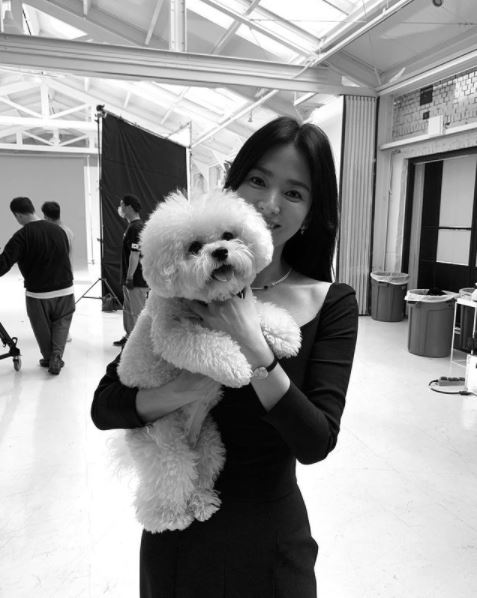 Song Hye Kyo tìm được tình yêu mới sau khi chấm dứt cuộc hôn nhân sóng gió với Song Joong Ki 4 Song Hye Kyo tìm được tình yêu mới sau khi chấm dứt cuộc hôn nhân sóng gió với Song Joong Ki 4