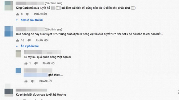 Phạm Hương nhận kết đắng sau khi tung Vlog đầu tay, lỗi sai khó đỡ 2