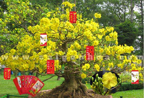 13 phong tục truyền thống trong Tết Nguyên đán 2021 cầu mong một năm thịnh vượng 2 13 phong tục truyền thống trong Tết Nguyên đán 2021 cầu mong một năm thịnh vượng 2