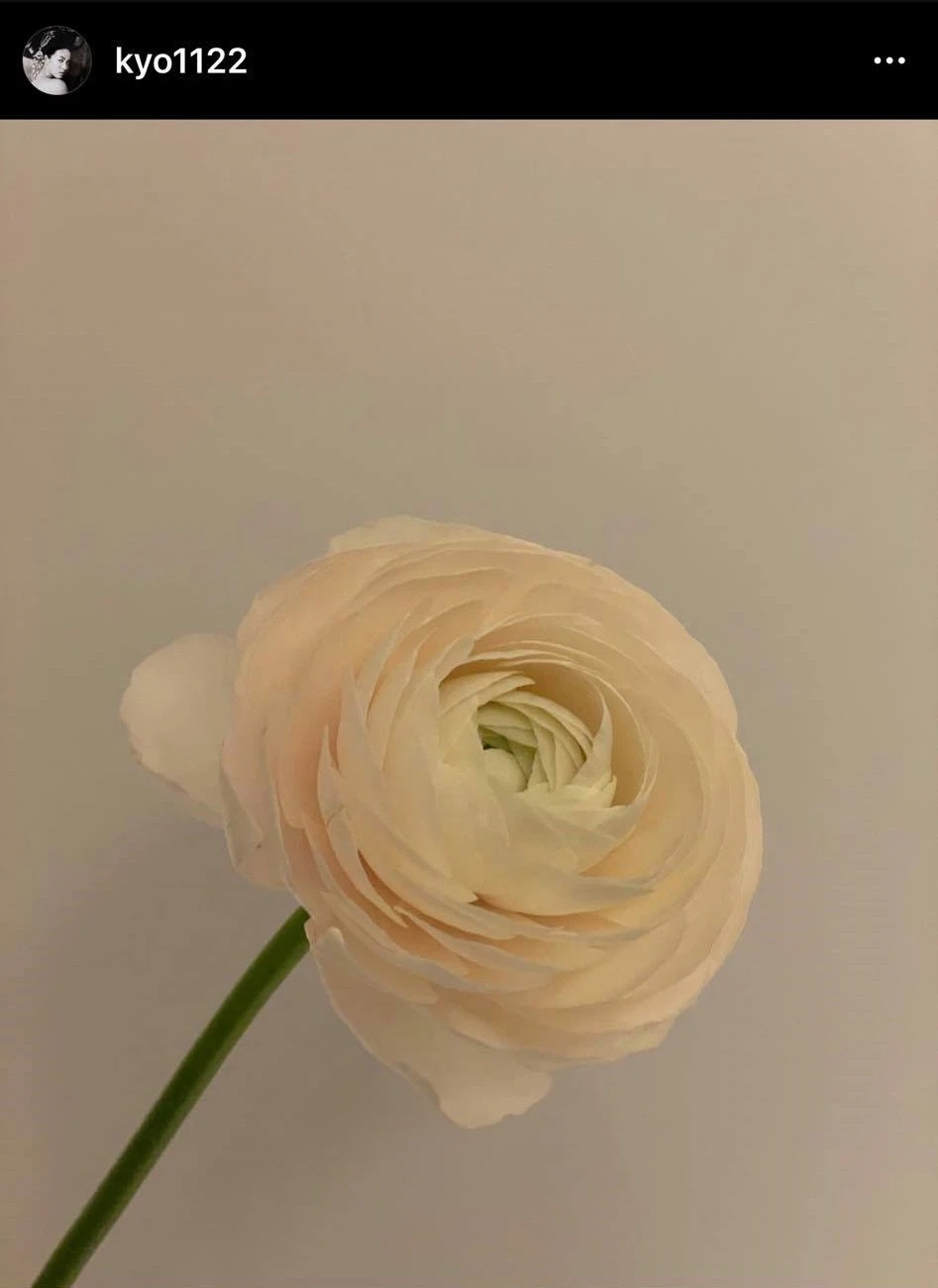 Cùng có chung động thái trên MXH, Song Hye Kyo và Son Ye Jin định hàm ý điều gì đến Hyun Bin? 1 Cùng có chung động thái trên MXH, Song Hye Kyo và Son Ye Jin định hàm ý điều gì đến Hyun Bin? 1