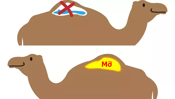 Cuộc sống là một cú lừa với những lời đồn đại sai sự thật mà chúng ta vẫn tin đến 'sái cổ' 5 Cuộc sống là một cú lừa với những lời đồn đại sai sự thật mà chúng ta vẫn tin đến 'sái cổ' 5