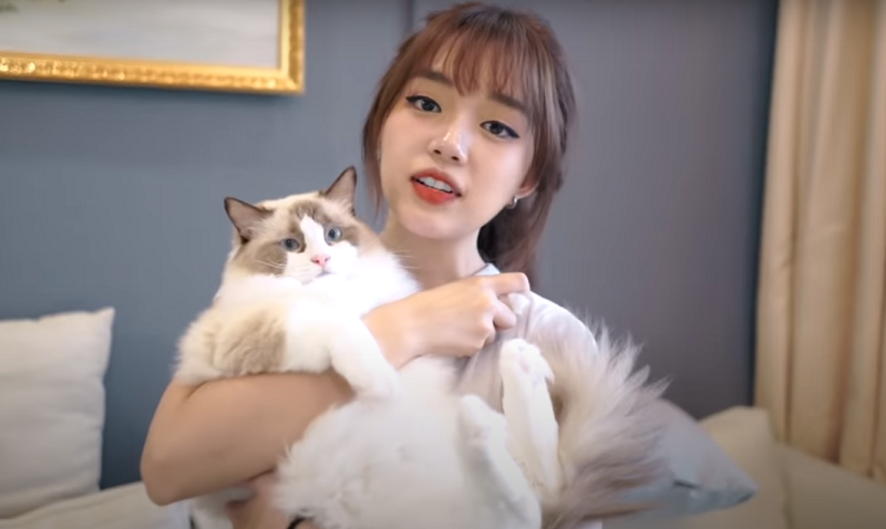 Linh Ngọc Đàm vô cớ bị 'khóa môi, tạm đóng mỏ vàng', có hối hận vì từng từ chối hợp đồng 400 triệu/tháng? 5 Linh Ngọc Đàm vô cớ bị 'khóa môi, tạm đóng mỏ vàng', có hối hận vì từng từ chối hợp đồng 400 triệu/tháng? 5