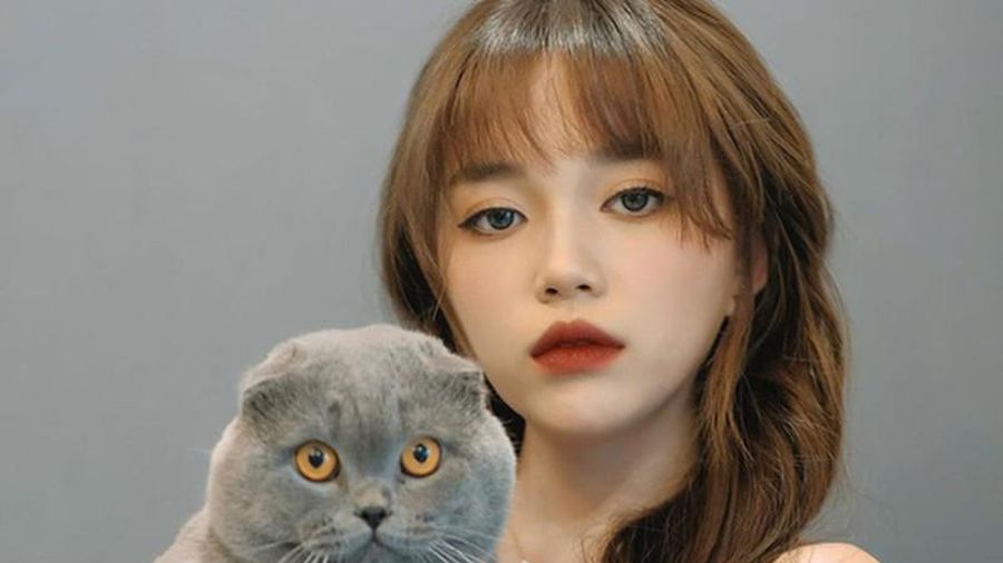 Linh Ngọc Đàm vô cớ bị 'khóa môi, tạm đóng mỏ vàng', có hối hận vì từng từ chối hợp đồng 400 triệu/tháng? 6 Linh Ngọc Đàm vô cớ bị 'khóa môi, tạm đóng mỏ vàng', có hối hận vì từng từ chối hợp đồng 400 triệu/tháng? 6