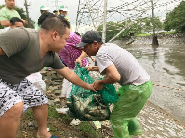Cảnh tượng hiếm gặp trên con 'sông chết' ở Hà Nội sau bão số 3 3