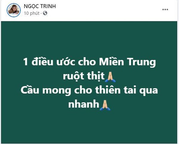 Ngọc Trinh cùng hàng loạt sao Việt kêu gọi ủng hộ miền Trung, bất ngờ nhất vẫn là Thuỷ Tiên 5