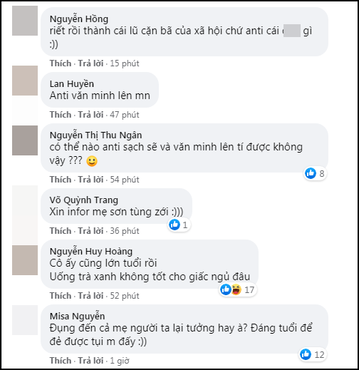 Tràn vào Facebook mẹ Sơn Tùng để lại nhiều ảnh 'thiếu vải' của Hải Tú, antifan gây phẫn nộ 7