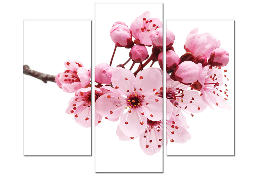 Chọn 5 kiểu tranh này treo trong nhà dịp Tết giúp gia chủ may mắn, đủ đầy quanh năm 1 Chọn 5 kiểu tranh này treo trong nhà dịp Tết giúp gia chủ may mắn, đủ đầy quanh năm 1