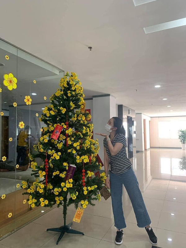 Cây 'mai Noel' đón Tết trong thời buổi kinh tế khó khăn khiến nhân viên thi nhau check-in 2 Cây 'mai Noel' đón Tết trong thời buổi kinh tế khó khăn khiến nhân viên thi nhau check-in 2