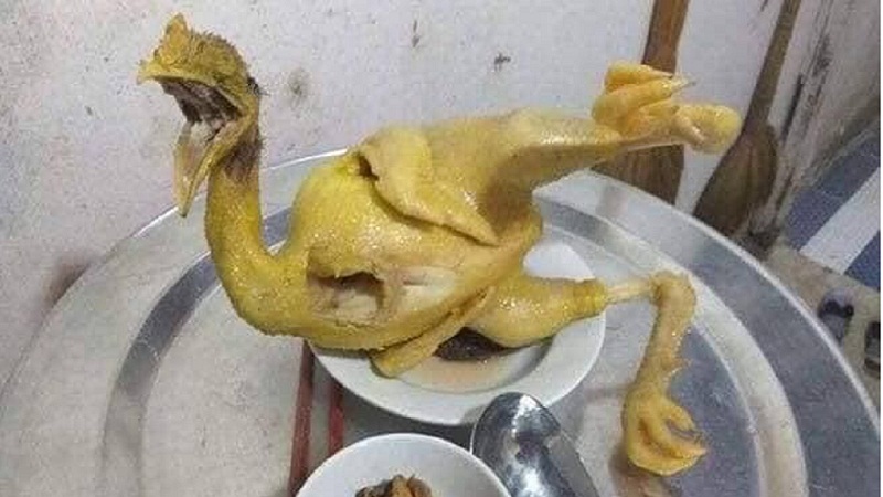 Hội gái đoảng khoe loạt tác phẩm gà luộc cúng giao thừa khiến dân tình không thể nhịn cười 8 Hội gái đoảng khoe loạt tác phẩm gà luộc cúng giao thừa khiến dân tình không thể nhịn cười 8
