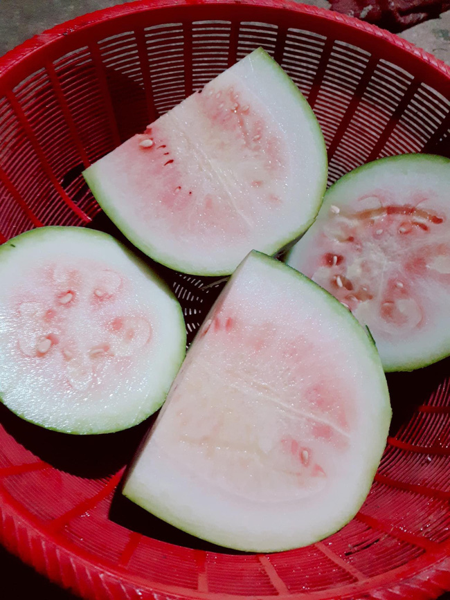 Hạ quả bưởi chưng Tết to bằng nồi cơm điện, cô gái ê chề vì tin lời người bán hàng 3 Hạ quả bưởi chưng Tết to bằng nồi cơm điện, cô gái ê chề vì tin lời người bán hàng 3