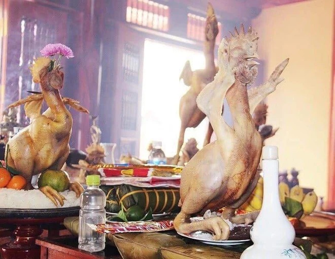 Gợi ý những mẫu gà đẹp, thần thái sang chảnh để cúng rằm tháng Giêng 3 Gợi ý những mẫu gà đẹp, thần thái sang chảnh để cúng rằm tháng Giêng 3